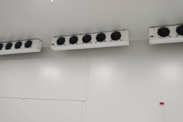 IPOneService-Portfolio-Coldroom-B1