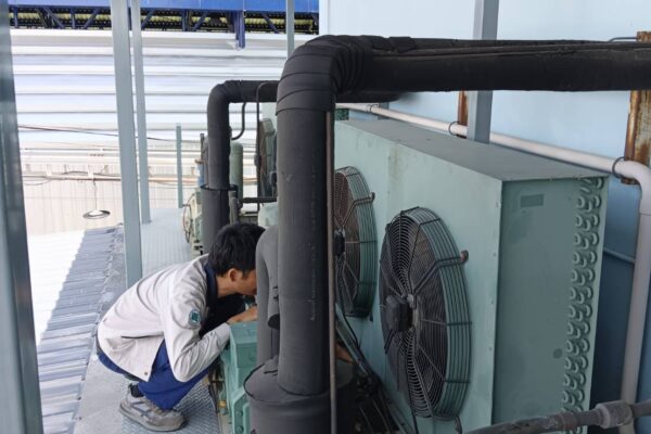 IPOneService-Portfolio-Coldroom-B11