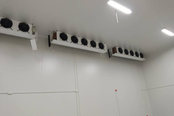 IPOneService-Portfolio-Coldroom-B2