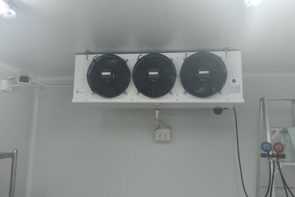 IPOneService-Portfolio-Coldroom-B6