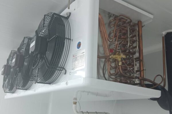 IPOneService-Portfolio-Coldroom-B7